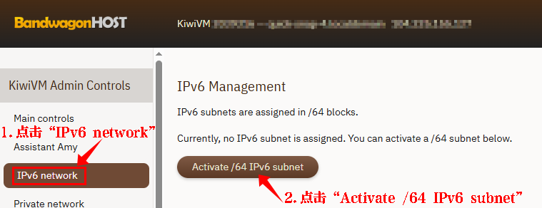 KiwiVM 激活 IPv6 真实截图