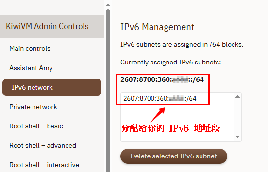 KiwiVM IPv6 成功状态真实截图
